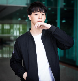 苏拉德·皮凌瓦照片