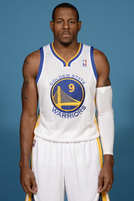 安德烈·伊戈达拉照片