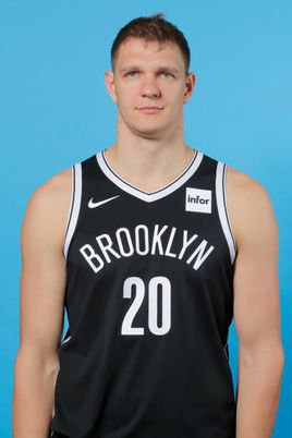 提莫菲·莫兹戈夫照片