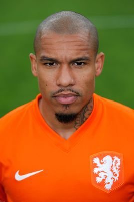 尼格尔·德容照片