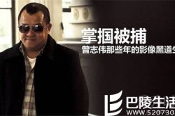 大哥曾志伟被捕 香港演艺圈再次上演警匪片