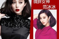 微胖范冰冰体重成谜 盘点娱乐圈中那些微胖美人们