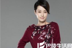 马伊琍道歉只因被朋友圈骗 盘点那些曾被骗过的明星