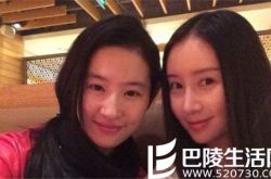 刘亦菲舒畅关系有多好？ 《最佳现场》两人互挺对方 