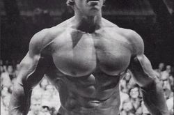 阿诺施瓦辛格健身经历将拍短剧 被同辈男星爆料性欲强 