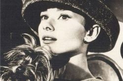 重温奥黛丽赫本电影剧照 人间天使连上帝都愿意亲吻她的脸颊 