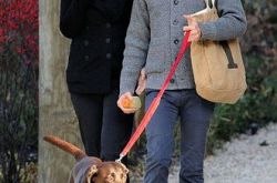 安妮海瑟薇历任男友大介绍 曾经和诈骗犯在一起成黑历史 