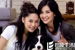 阿娇阿sa组合再合体引感叹 同一组合不同命运 