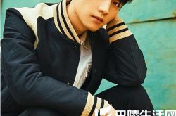 陈晓帅气写真,陈晓陈妍希大婚