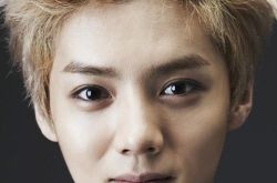 鹿晗个人资料,鹿晗的作品大揭秘