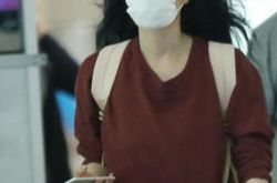 王菲香港豪宅亏本220万 买入13年终于售出 