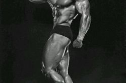 施瓦辛格健美图片展硬汉气质 曝每天健身四十年不间断 