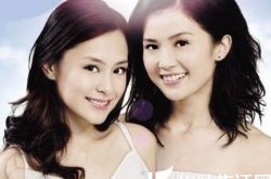 twins为什么解散 揭两姐妹当初为什么解散真相 