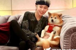 王菲窦靖童关系怎么样 一位独立明理的新晋音乐人 