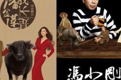 范冰冰盛装出征多伦多 为即将上映的《我不是潘金莲》做宣传 