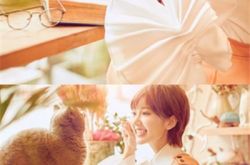 毛晓彤发布微博晒挑逗猫猫照片 《微微》中人气超越郑爽 