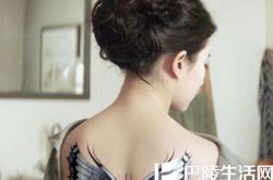 夜孔雀刘亦菲突破形象 神仙姐姐破仙气入红尘 