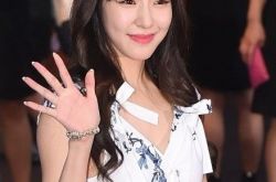 少女时代家族演唱会结束回韩机场遭大批粉丝围堵 团体齐亮相 