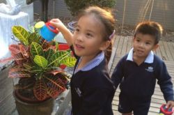 国民媳妇刘涛女儿照片曝光 被赞美丽似母亲 