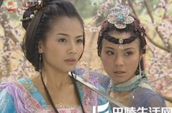 刘涛都主演什么电视剧了 有哪些经典角色 