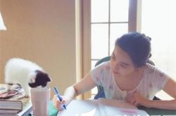 李晨晒范冰冰素颜写字 网友：炫妻狂魔 