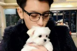 黄子韬什么时候解约呢 ＂指责队友＂＂否认离队＂旧事被翻 