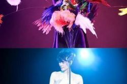 天后王菲演唱会疑定名 将以网络直播形式造福粉丝被赞 