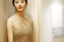 网扒刘亦菲简历个人资料 菲菲携剧组现身杨洋生日会 