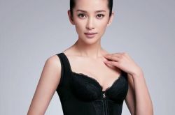 李冰冰出场费高令人咋舌 亮相十分钟47万纳入囊中 