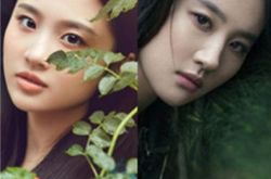 张慧雯长相似神仙姐姐 刘亦菲干爹陈金飞与其关系揭秘 