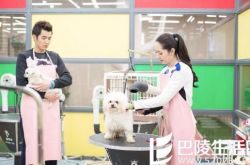 陆展博的扮演者金世佳结婚了吗 与李金铭恋情真假难辨 