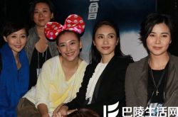 古惑仔演唱会应采儿化身歌迷助阵 陈小春称兄弟合体太难得 