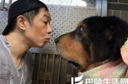 黄贯中晒朱茵与爱犬引关注 被调侃“最萌身高差” 