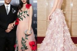 芭莎明星慈善夜女星争奇斗艳 明星夫妻大秀恩爱 