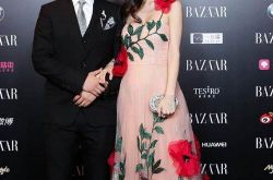 Angelababy怀孕第六次被提出 这一次黄晓明只是一笑