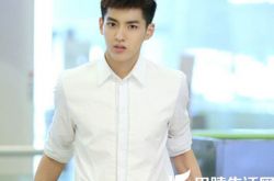 中国偶像男明星排行榜全新出炉 小鲜肉领衔老天王人气不再 