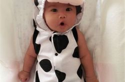 包贝尔包饺子图片首曝光 气质呆萌获封表情帝 