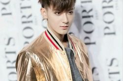 黄子韬粉丝叫什么 他竟掌握多国语言 