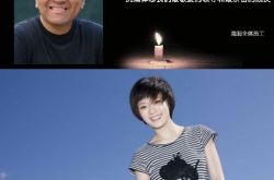 孙俪感慨生命无常要好好生活 关爱小动物献爱心引网友点赞 