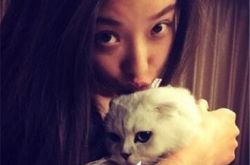 倪妮和猫合影呆萌可爱 双“喵”出击萌煞众人 