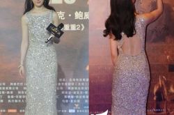 刘亦菲穿透视艳压红毯  深v礼服尽显高贵梦幻 