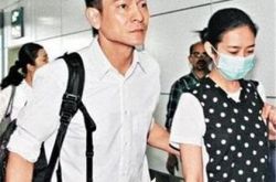 网曝朱丽倩挺大肚追二胎 刘德华：发胖未怀孕 