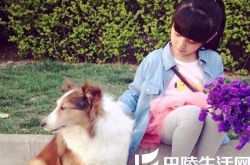 幻城纪姿含张籽沐剧照很唯美   糖妞和纪姿含竟是双胞胎？ 