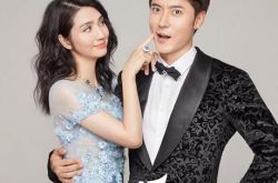 香港女星洪欣演过的电影有哪些 婚礼美满全靠驭夫有术 