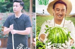 黄磊担任《向往的生活》的嘉宾 居家男人本色出演 