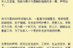 马蓉个人写真遭扒 宝宝曾苦劝妻子回头 