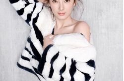 张雨绮写真照性感惊艳 私下反差大享受生活似小女生 