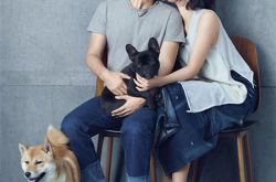 袁弘张歆艺怎么相恋的 回顾两人恋爱全过程 