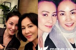 刘嘉玲王菲同框引关注   两大女神级人物同台争艳 