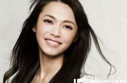 主持一姐谢娜微博骂姚晨 盘点明星与粉丝对骂事件 